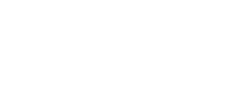 Bay City Bridge Partners